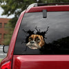 Boxer Crack Bone Sticker Fun Vinyl Graphics Christmas Gifts For Girlfriend - Dog Lovers die-cut waterproof vinyl sticker decal