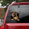 Boxer Crack Decal For Wall Funny Jokes Custom Made Stickers 3 Year Anniversary Gift - Dog Lovers die-cut waterproof vinyl sticker decal