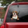 Boxer Crack Stickers Custom Pretty Brand Stickers Teacher Gifts - Dog Lovers die-cut waterproof vinyl sticker decal