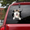 Alaska Crack Decal For Wall Funny Memes Vinyl Stickers For Cars Gifts For Dogs - Dog Lovers die-cut waterproof vinyl sticker decal