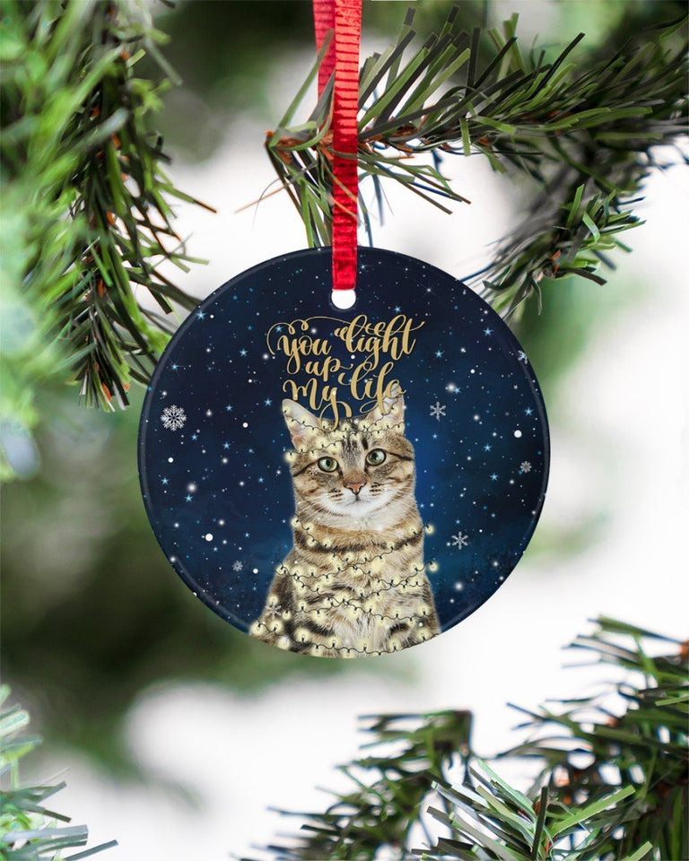 Cat You Light Up My Life Circle Ornament, Christmas Ornament, Christmas Gift