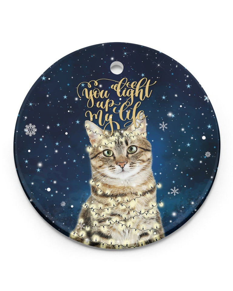 Cat You Light Up My Life Circle Ornament, Christmas Ornament, Christmas Gift