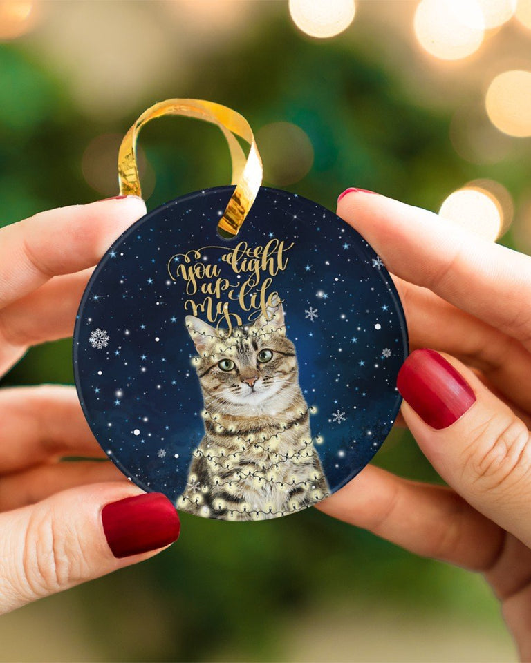 Cat You Light Up My Life Circle Ornament, Christmas Ornament, Christmas Gift