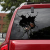 [ld0265-snf-lad]-mexican-red-rump-crack-car-sticker-tarantula-lover