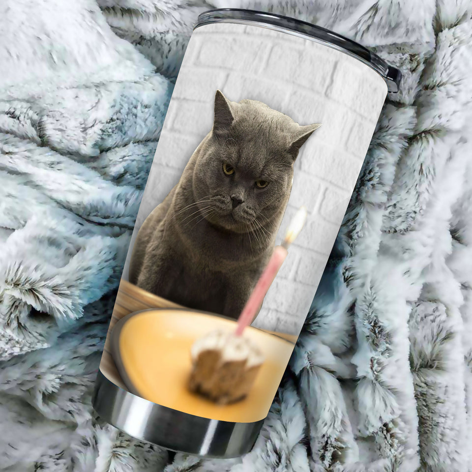 Camellia Personalized British Shorthair Cat Birthday Stainless Steel Tumbler - Double-Walled Insulation Vacumm Flask - Gift For Bristish Shorthair Lovers, International Cat Day