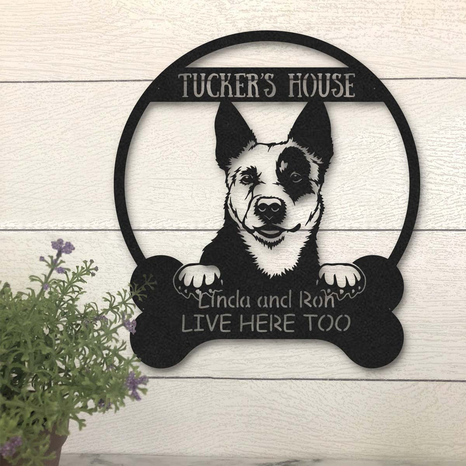 Australian Cattle Dog Lovers Funny Personalized Metal House Sign