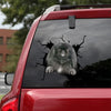[da0181-snf-tnt]-pekingese-crack-car-sticker-dogs-lover