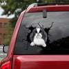 [da0170-snf-tnt]-pekingese-crack-car-sticker-dogs-lover
