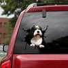 Cavachon Crack Decal Sticker Car Funny Pictures Waterproof Sticker Paper 20 Year Anniversary Gift - General die-cut waterproof vinyl sticker decal