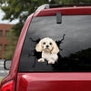 Cavachon Crack Decals For Cars Fun Vinyl Labels 8 Year Anniversary Gift - General die-cut waterproof vinyl sticker decal