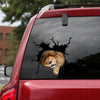 [th0156-snf-tpa]-lion-crack-car-sticker