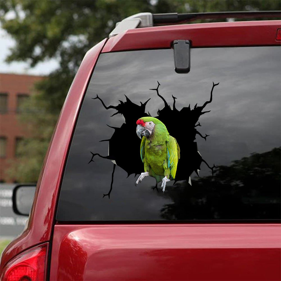 Military Macaw Parrot Crack Sticker Pack Cute A Circle Stickers Christmas Gift Ideas 2020 - Wildlife & Nature die-cut waterproof vinyl sticker decal