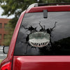 [ld0315-snf-tnt]-shark-crack-car-sticker