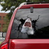 [ld0318-snf-tnt]-shark-crack-car-sticker