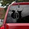 Skull Crack Decal Sticker Car Funny Quotes Vehicle Decals 2 Year Anniversary Gift - General die-cut waterproof vinyl sticker decal