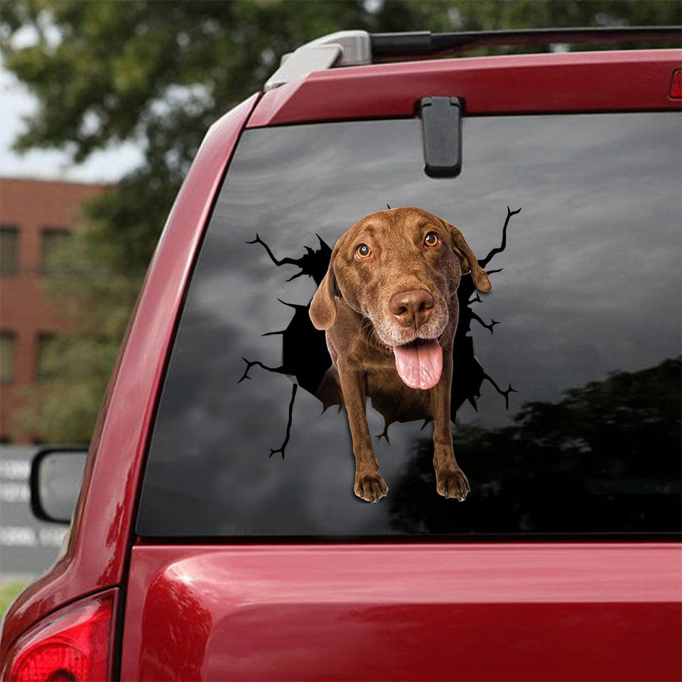 Chesapeake Bay Retriever Crack Decal For Rear Window Wiper Cool Car Window Decals Mother's Day Gifts 2022 - Dog Lovers die-cut waterproof vinyl sticker decal
