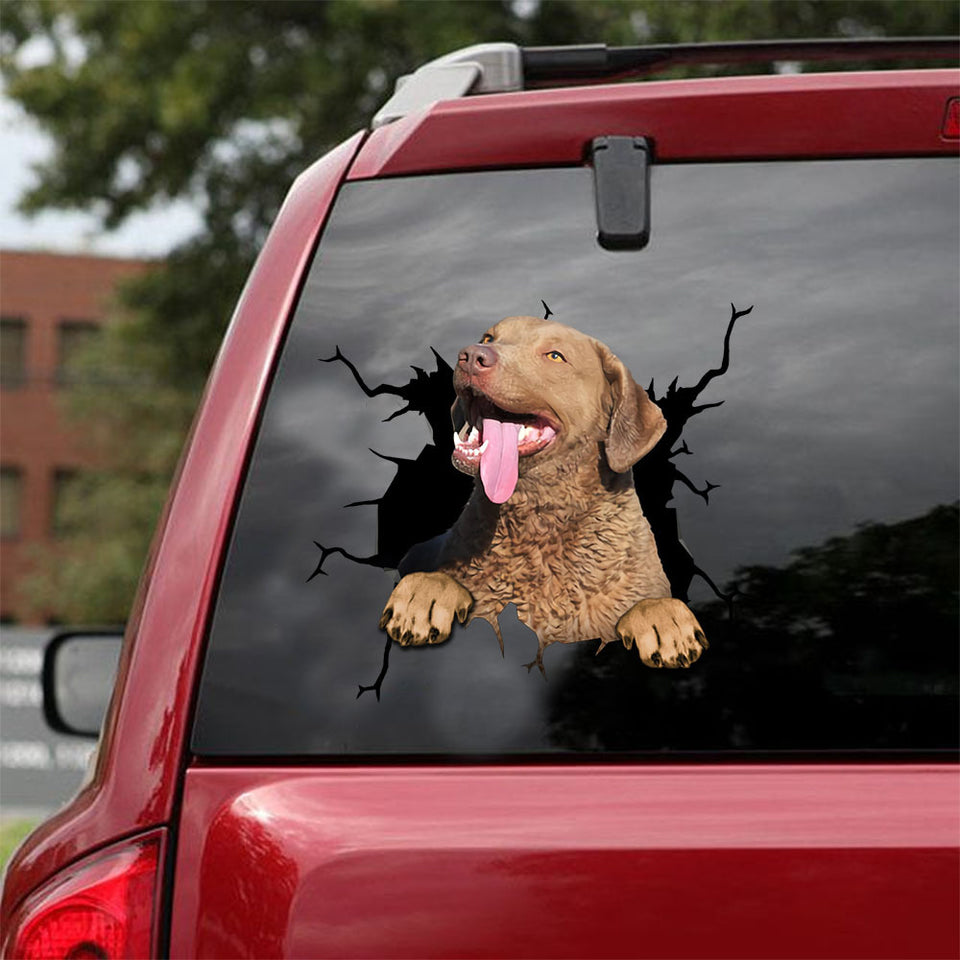 Chesapeake Bay Retriever Crack Sticker Car Window Funny Window Stickers 60th Birthday Gift Ideas - Dog Lovers die-cut waterproof vinyl sticker decal