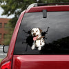 Dalmatian Crack Dad Decal Funny Memes Bumper Sticker Maker Graduation Gift Ideas - Dog Lovers die-cut waterproof vinyl sticker decal