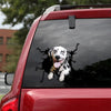 Dalmatian Crack Decals For Walls You Cute Car Window Stickers Birthday Gift Ideas For Her - Dog Lovers die-cut waterproof vinyl sticker decal