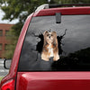 Lhasa Apso Crack Decal Ideas The Cutest Name Stickers Best Gifts 2021 - Dog Lovers die-cut waterproof vinyl sticker decal