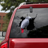 African Grey Crack Decal Car Your Cute Jeans Waterproof Sticker Paper Christmas Presents For Mom - Wildlife & Nature die-cut waterproof vinyl sticker decal