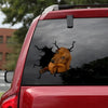 [th0250-snf-tpa]-dachshund-crack-car-sticker-dogs-lover