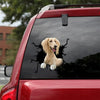 [th0264-snf-tpa]-saluki-crack-car-sticker-dogs-lover