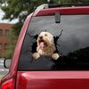 Goldendoodle Crack Stickers Custom Cute A Custom Bumper Stickers Birthday Delivery - Dog Lovers die-cut waterproof vinyl sticker decal