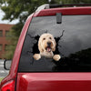 Goldendoodle Crack Sticker Cute Funny Faces Sticker Maker Anniversary Gift For Husband - Dog Lovers die-cut waterproof vinyl sticker decal