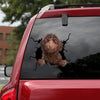 Goldendoodle Crack Stickers Funny Quotes Clear Stickers Wedding Gifts For Couples - Dog Lovers die-cut waterproof vinyl sticker decal