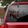 Goldendoodle Crack Bumper Sticker Corny Jokes Laptop Decals Christmas Presents - Dog Lovers die-cut waterproof vinyl sticker decal