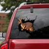 [da1030-snf-tnt]-kangaroo-crack-car-sticker-animals-lover
