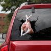 [da1021-snf-tnt]-kangaroo-crack-car-sticker-animals-lover