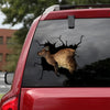 [da1022-snf-tnt]-kangaroo-crack-car-sticker-animals-lover