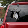 [da1024-snf-tnt]-kangaroo-crack-car-sticker-animals-lover