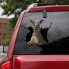 [da1027-snf-tnt]-kangaroo-crack-car-sticker-animals-lover