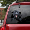 [da1009-snf-tnt]-labradoodle-crack-car-sticker-dogs-lover
