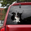 [sk0526-snf-tnt]-border-collie-crack-car-sticker-dogs-lover