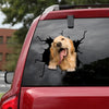 [sk1508-snf-lad]-golden-retriever-crack-car-sticker-dogs-lover