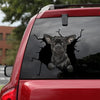 [da0108-snf-tnt]-chihuahua-crack-car-sticker-dogs-lover