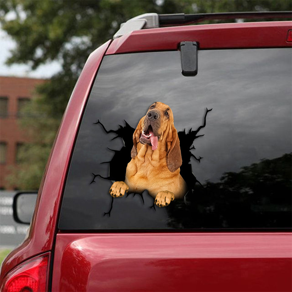 Bloodhound Crack Sticker For Car Your Cute Jeans Stickers Wedding Anniversary Gifts - Dog Lovers die-cut waterproof vinyl sticker decal