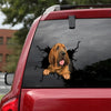Bloodhound Crack Sticker Kawaii Funny Faces Custom Window Decals Gift Ideas For Women - Dog Lovers die-cut waterproof vinyl sticker decal