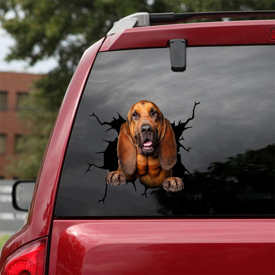 Bloodhound Crack Decal Ideas Funny Memes Clear Stickers Mothers Day Ideas - Dog Lovers die-cut waterproof vinyl sticker decal