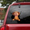Vizsla Crack Sticker Pack You Cute Custom Window Decals Couple Gift Ideas - Dog Lovers die-cut waterproof vinyl sticker decal