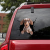 Dachshund Crack Sticker Kawaii You Cute Kiss Cut Stickers 20 Year Anniversary Gift - Dog Lovers die-cut waterproof vinyl sticker decal
