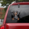 Dachshund Crack Sticker For Car Window Funny Wall Decor Vinyl Decals For Cars Gifts For Parents - Dog Lovers die-cut waterproof vinyl sticker decal