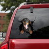 Dachshund Crack Stickers Funny Pictures Custom Logo Stickers Birthday Gifts For Mom - Dog Lovers die-cut waterproof vinyl sticker decal