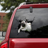 Pug Crack Decals Funny Jokes Vinyl Decals Retirement Gifts For Women - Dog Lovers die-cut waterproof vinyl sticker decal