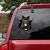 Akita Crack Sticker Design Funny Birthday Memes Decal Gifts For Dad From Daughter - Dog Lovers die-cut waterproof vinyl sticker decal