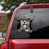 Akita Crack Sticker Custom Your Cute Jeans Custom Sticker Sheets Gift Ideas For Wife - Dog Lovers die-cut waterproof vinyl sticker decal